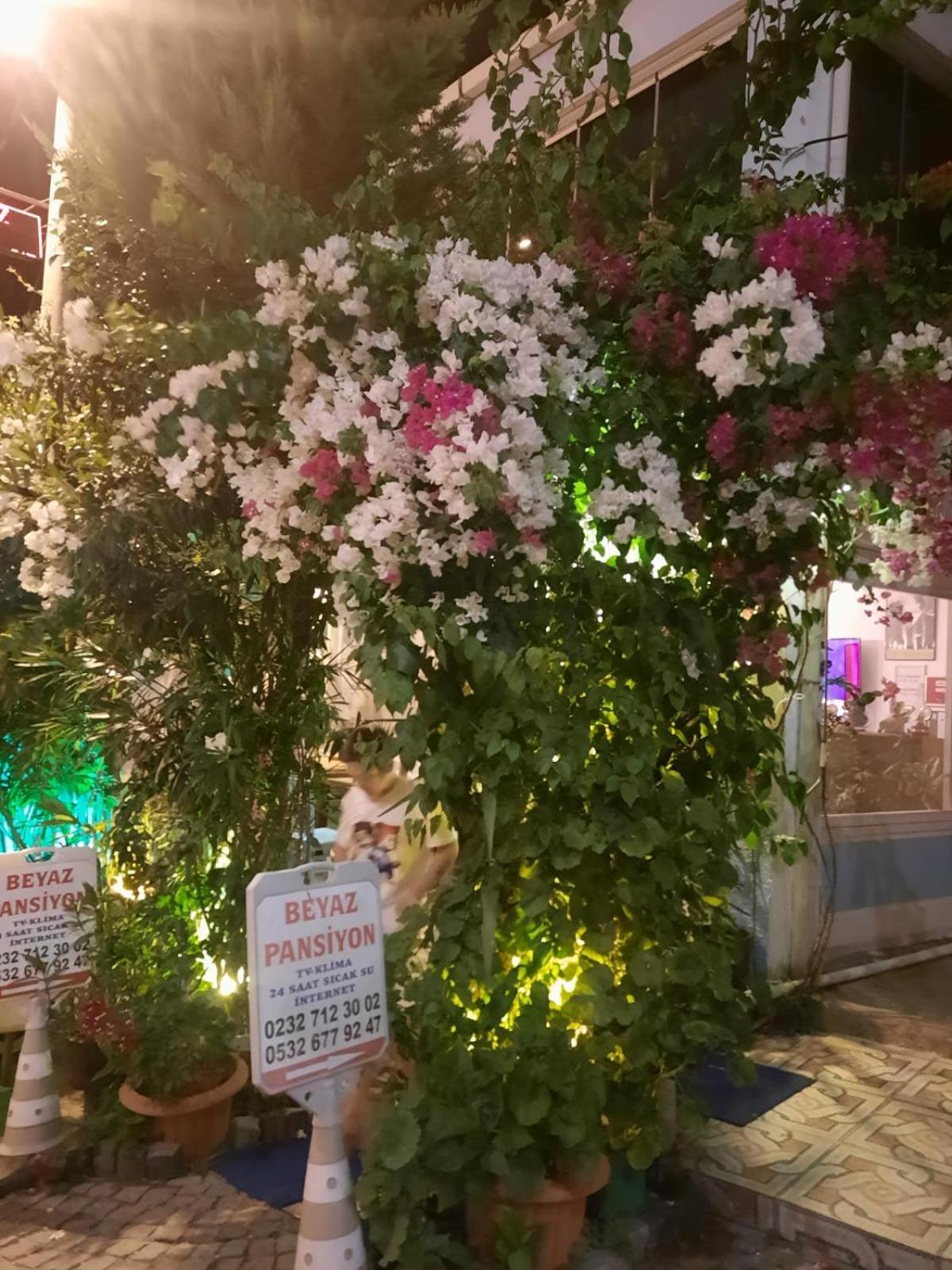 Beyaz Apart Pansiyon Çeşme Buitenkant foto